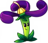 Vivacity Logo